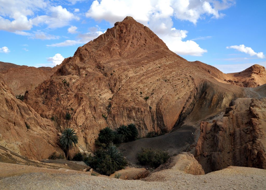 Die Oase Chebika an der Grenze zu Algerien