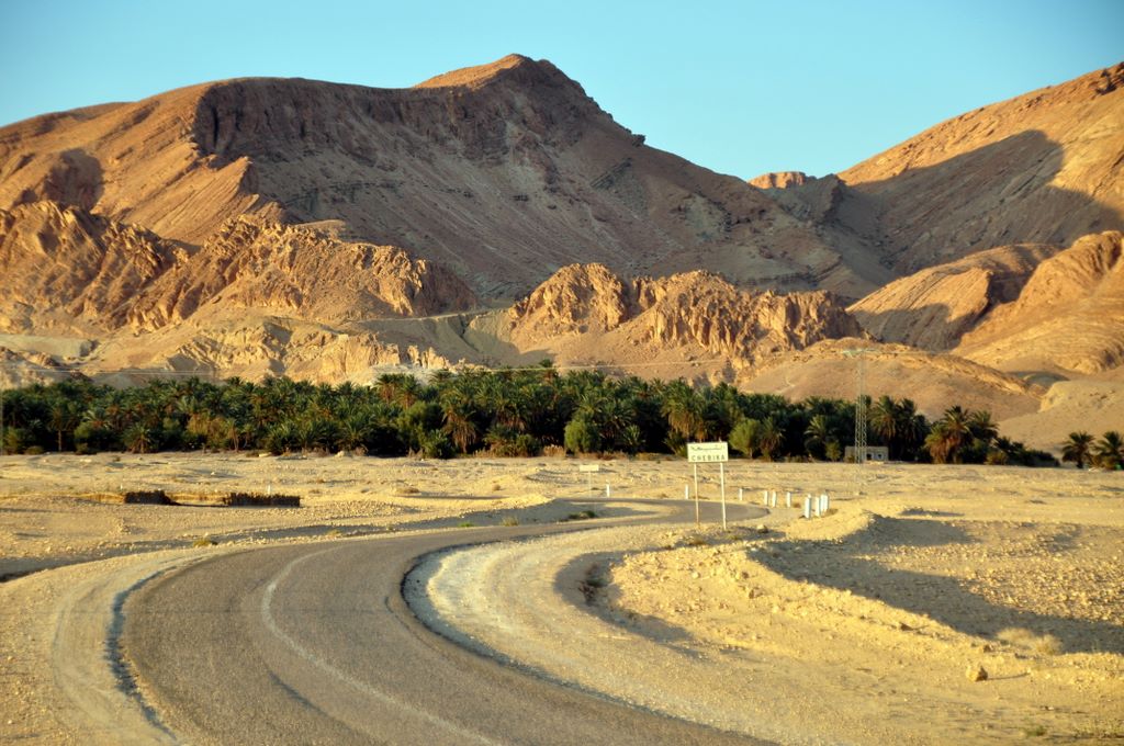 Die Oase Chebika an der Grenze zu Algerien