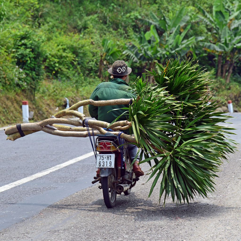 Cargo in Vietnam