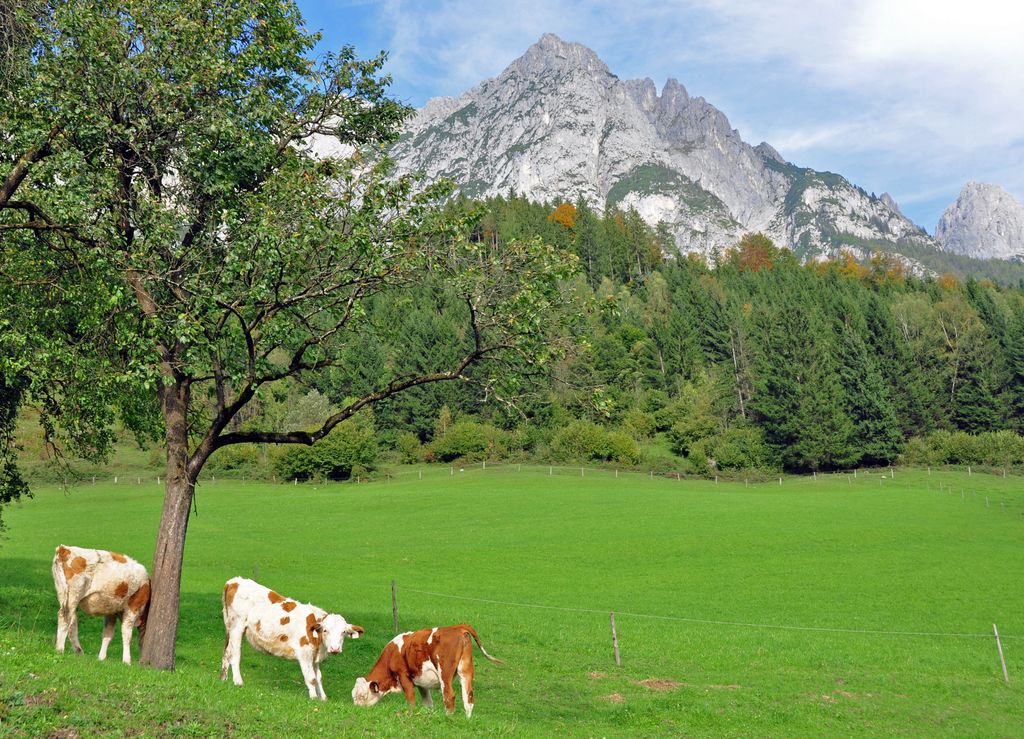 Das Tennengebirge im Salzburger Land