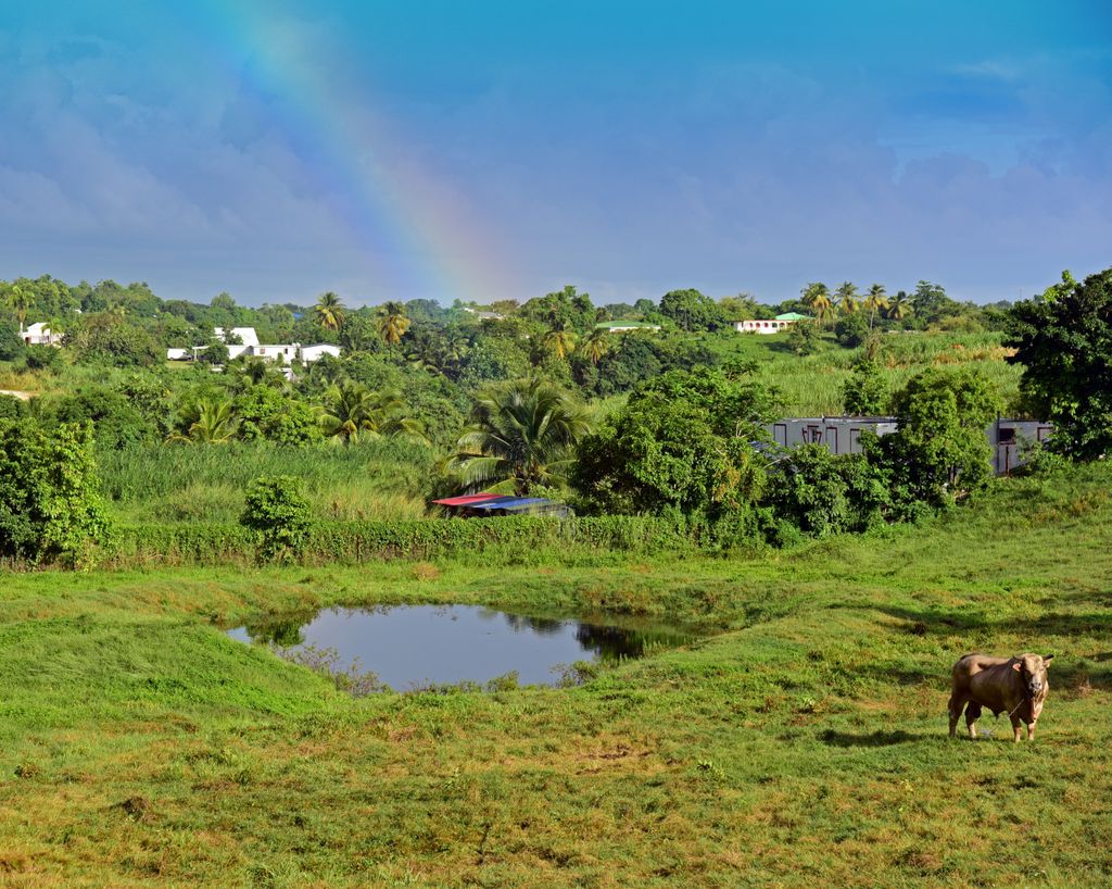 Unterwegs in Guadeloupe