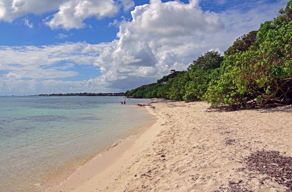Str&auml;nde im Osten von Guadeloupe