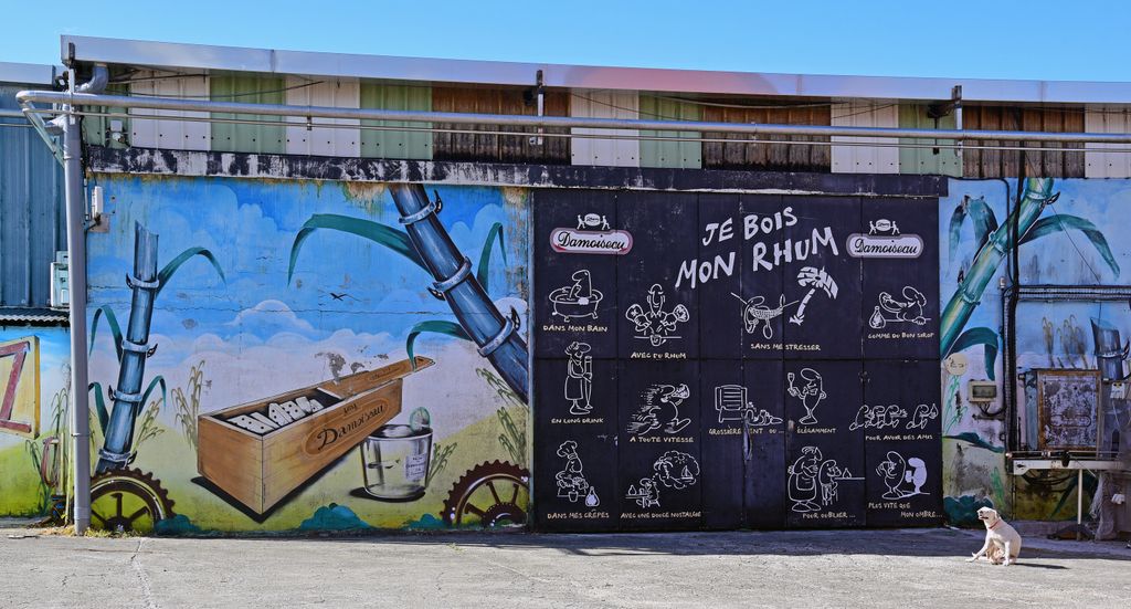 Die Rumfabrik Damoiseau in Guadeloupe