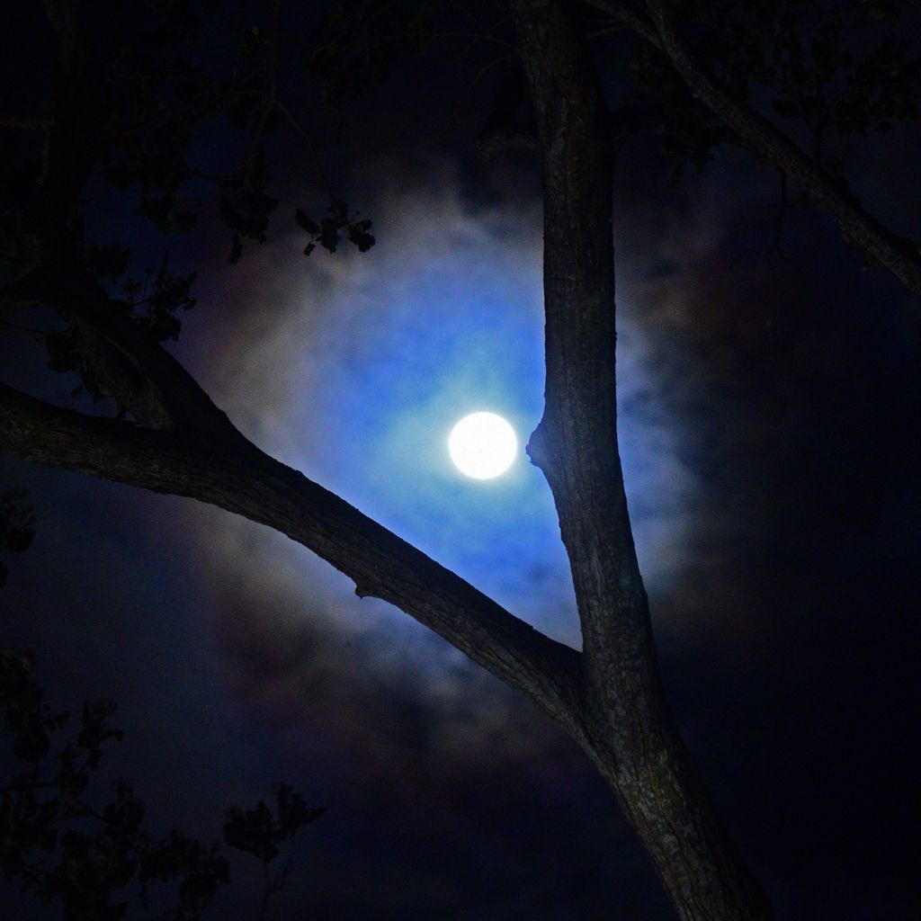 Das Hotel Le Relais du Moulin in Guadeloupe