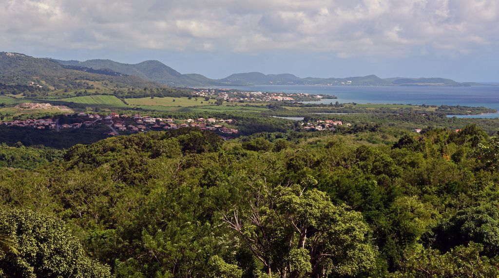 Im S&uuml;den von Martinique