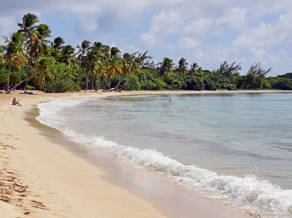 Strand bei Sainte-Anne / Martinique