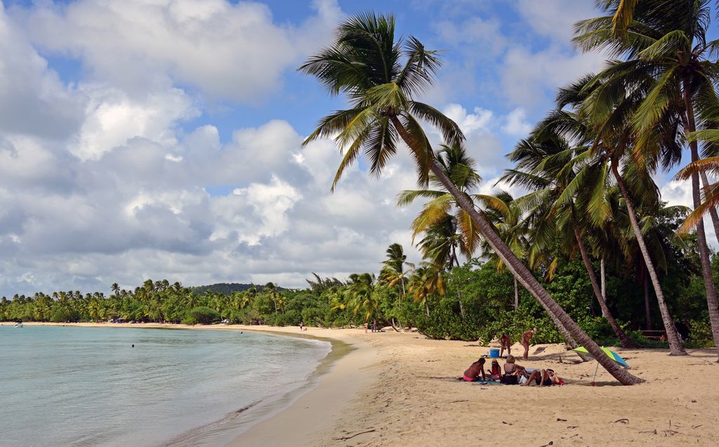 Strand bei Sainte-Anne / Martinique
