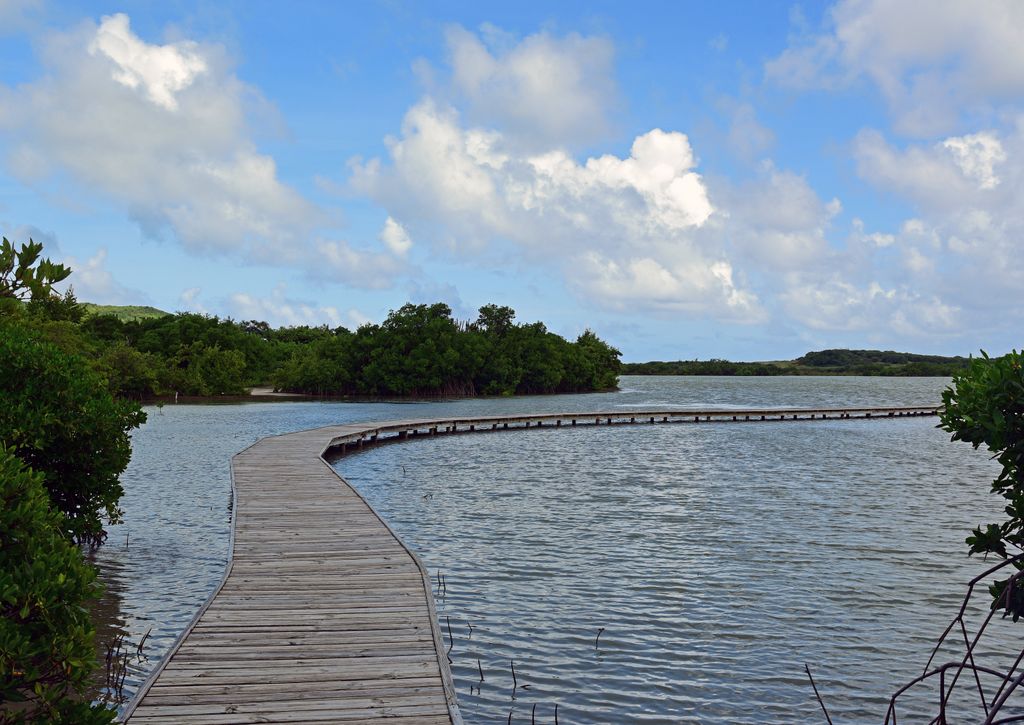 Der Naturlehrpfad Etang des Salines in Martinique
