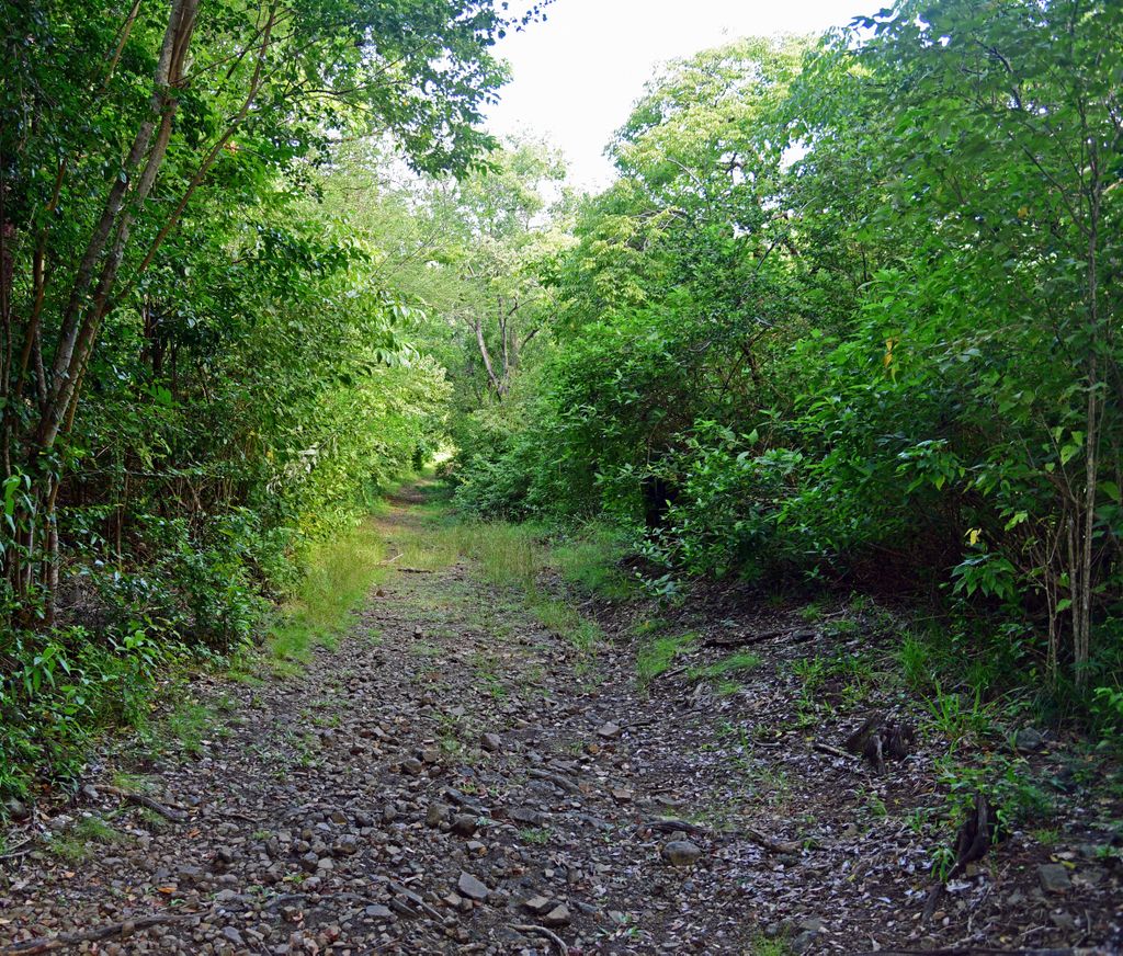 Auf dem Weg zum Piton Cr&egrave;ve-Coeur in Martinique