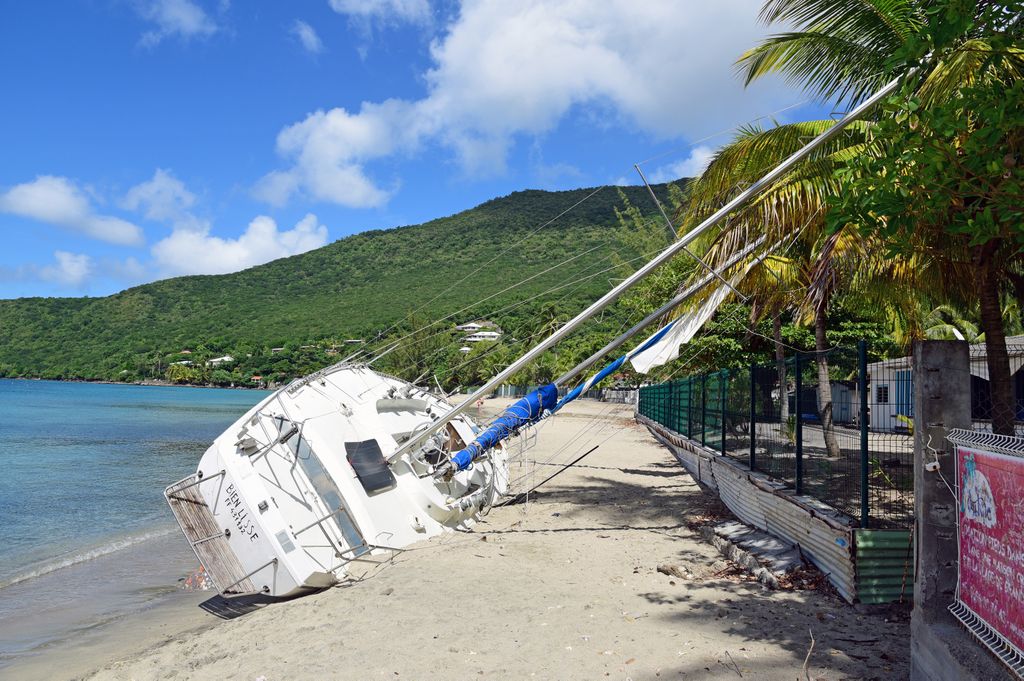Zinni mietete ein Boot