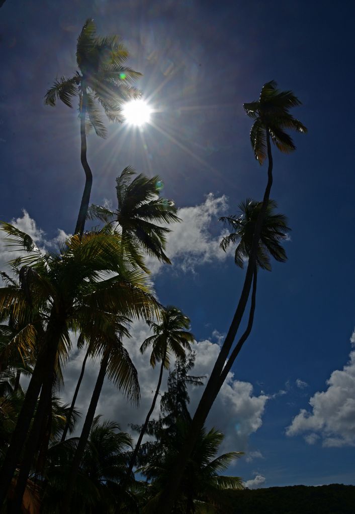 Mittags um Elf in Martinique