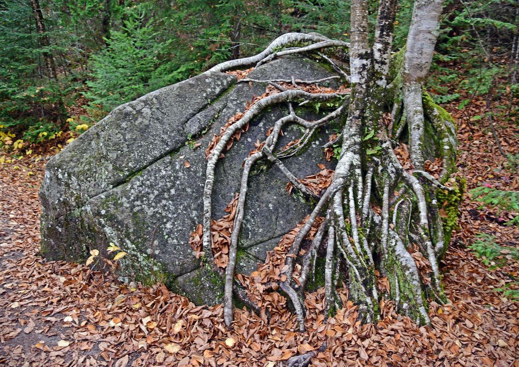 Im Nationalpark von Saguenay