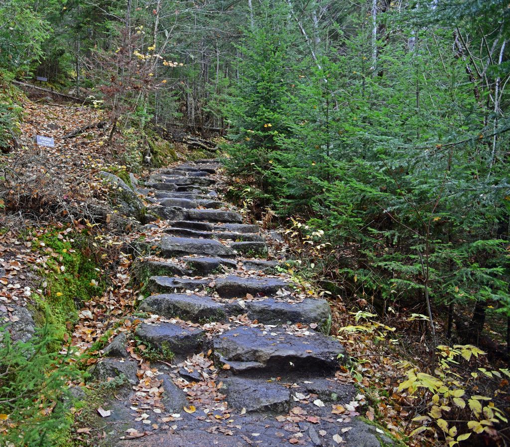 Im Nationalpark von Saguenay