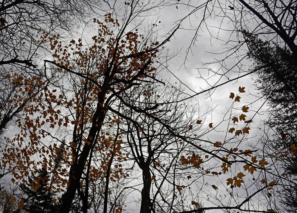 Im Nationalpark von Saguenay