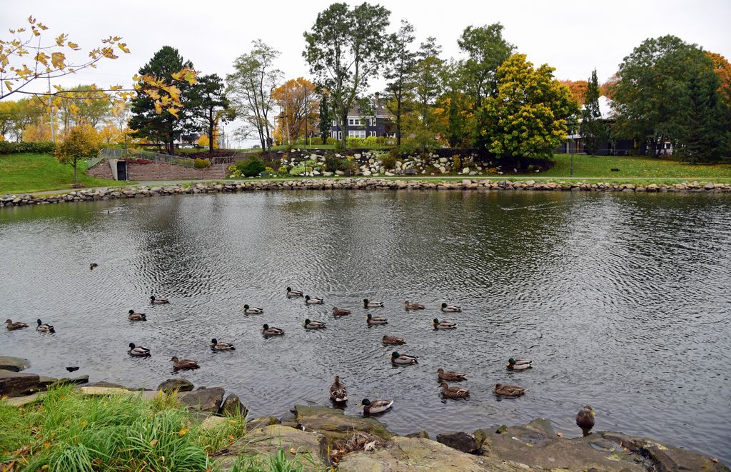 Unterwegs in Sydney, Kap-Breton-Insel
