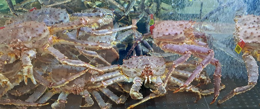 In der Fischhalle von Bergen