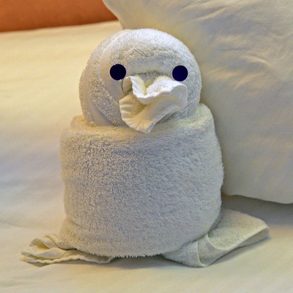 Tier im Bett auf meiner Kabine auf der MS Astor