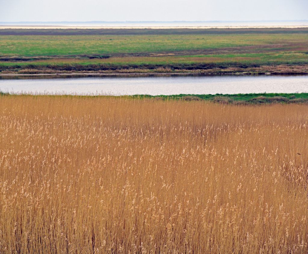 In der N&auml;he von S&oslash;nderho / Fan&oslash;