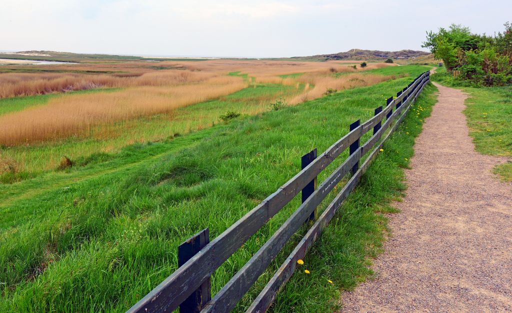 In der N&auml;he von S&oslash;nderho / Fan&oslash;