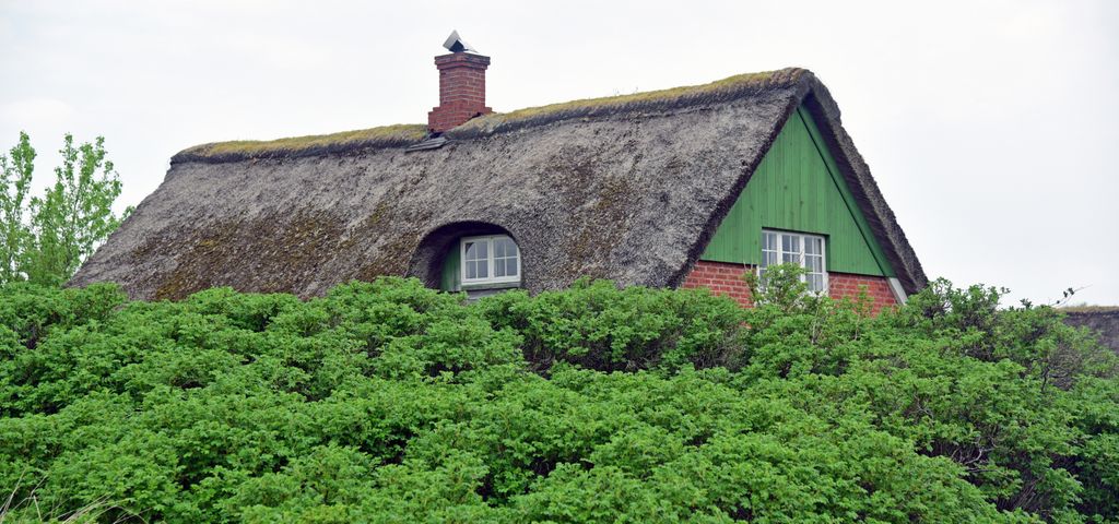 Geb&auml;ude in S&oslash;nderho / Fan&oslash;