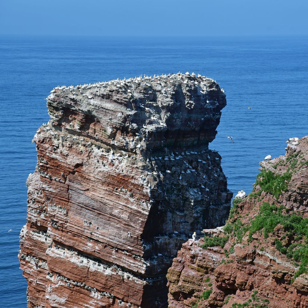 Unterwegs auf dem Klippenrandweg auf Helgoland