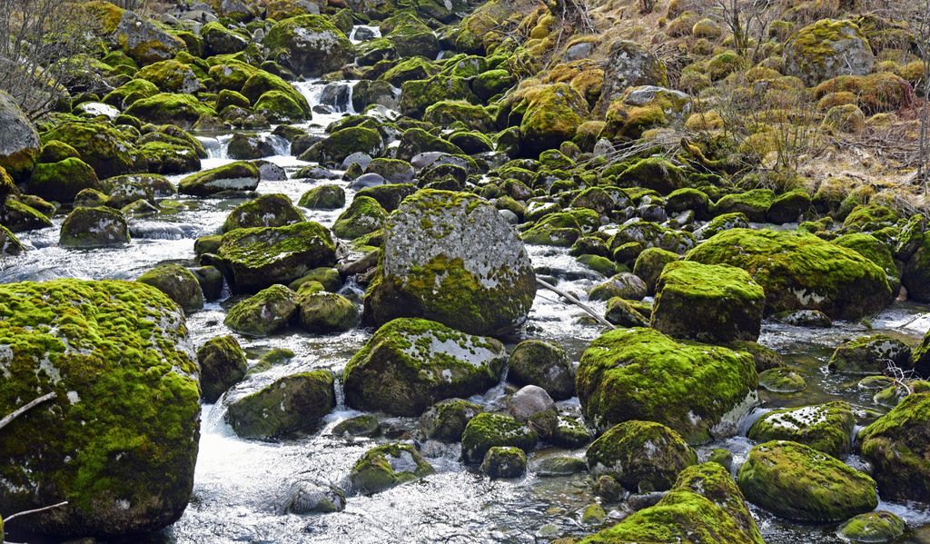 Auf dem Weg zum Jostedalgletscher