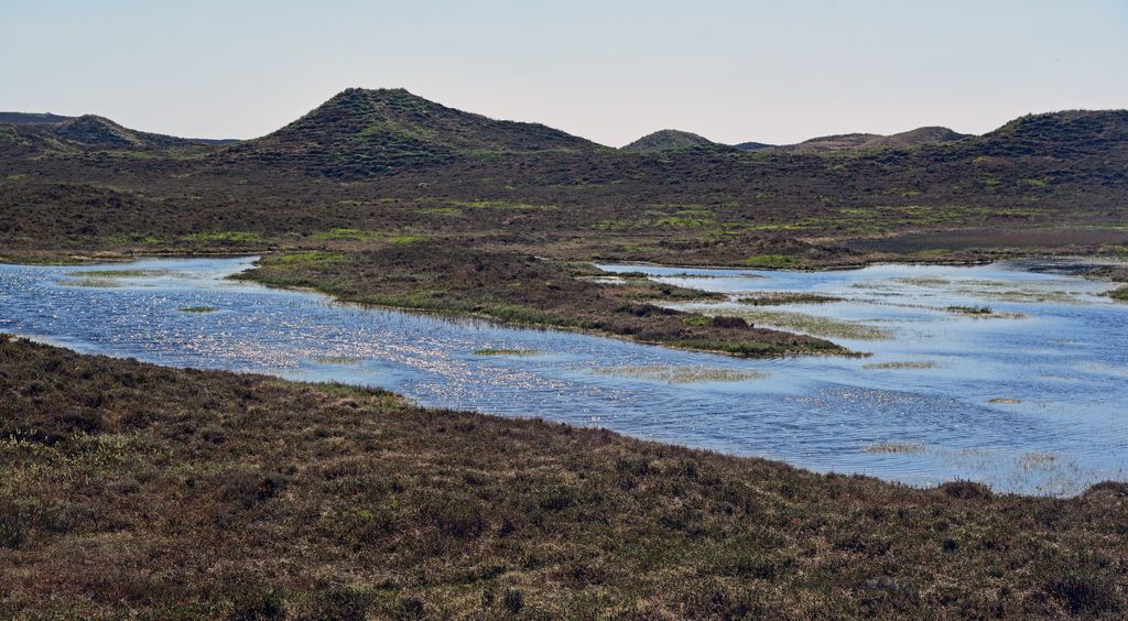Im Norden von Sylt bei List