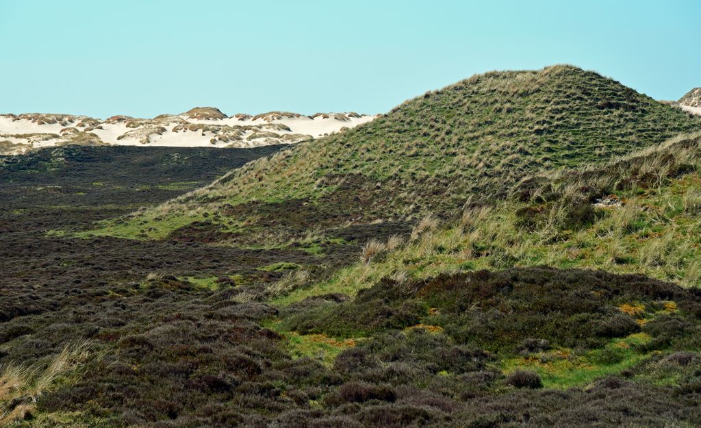 Im Norden von Sylt bei List