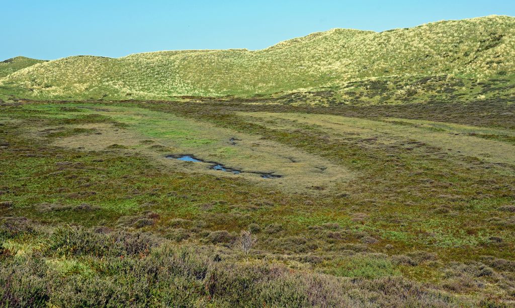 Im Norden von Sylt bei List