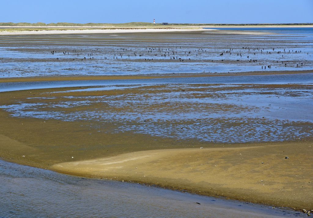 Im Norden von Sylt bei List