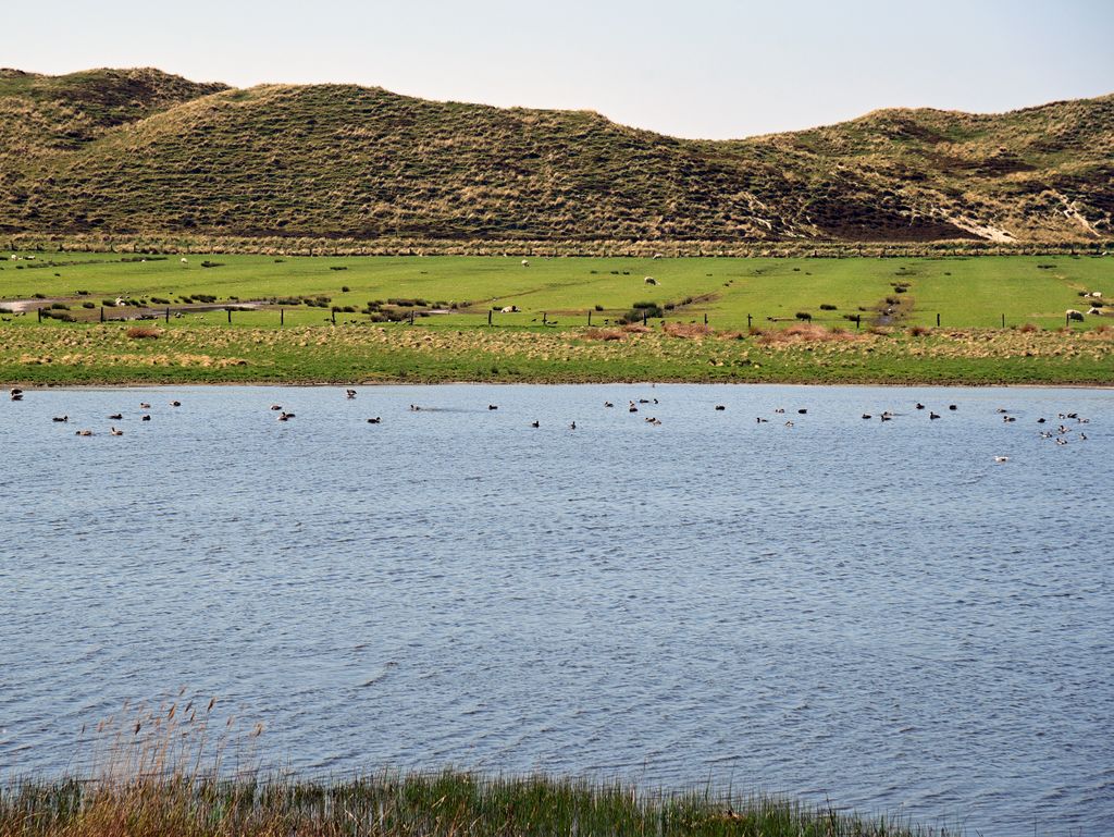 Im Norden von Sylt bei List