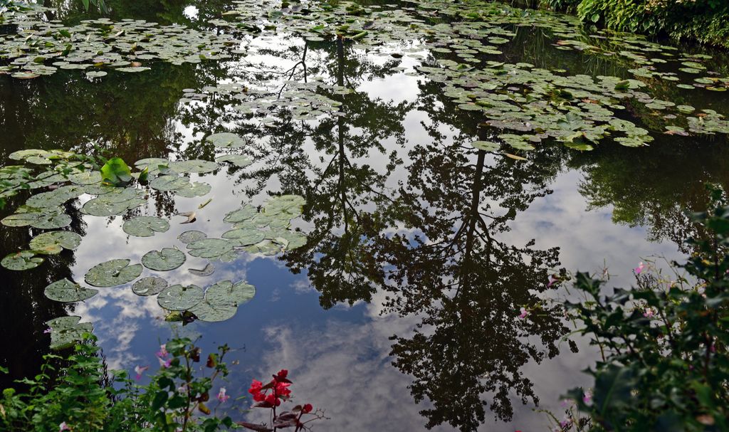 Monets Seerosenteich in Giverny