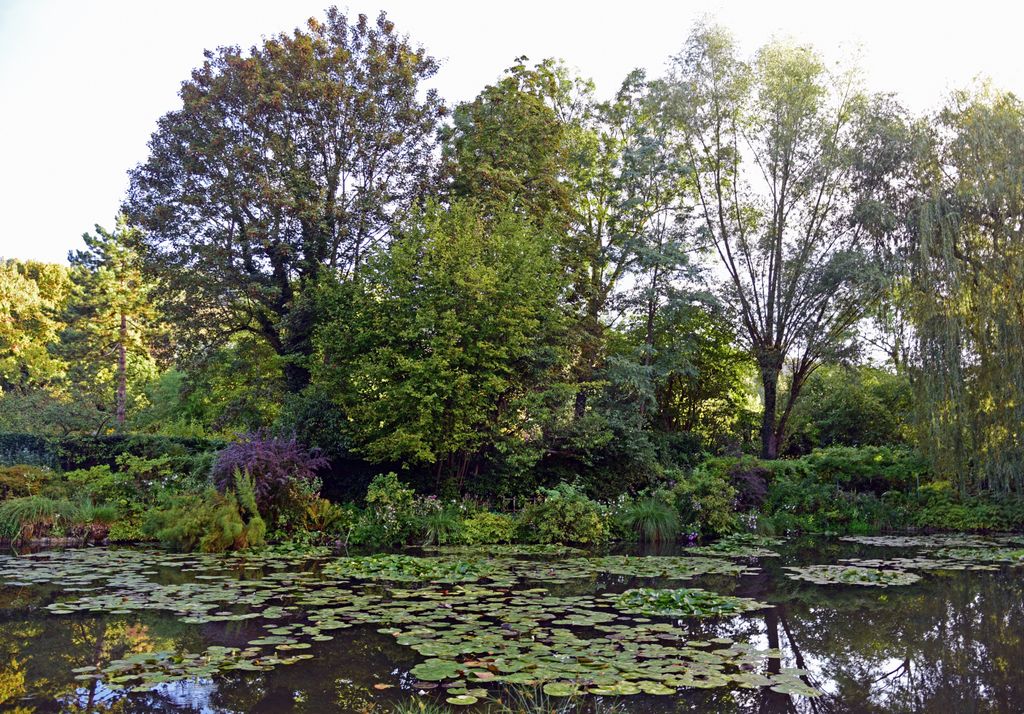 Monets Seerosenteich in Giverny