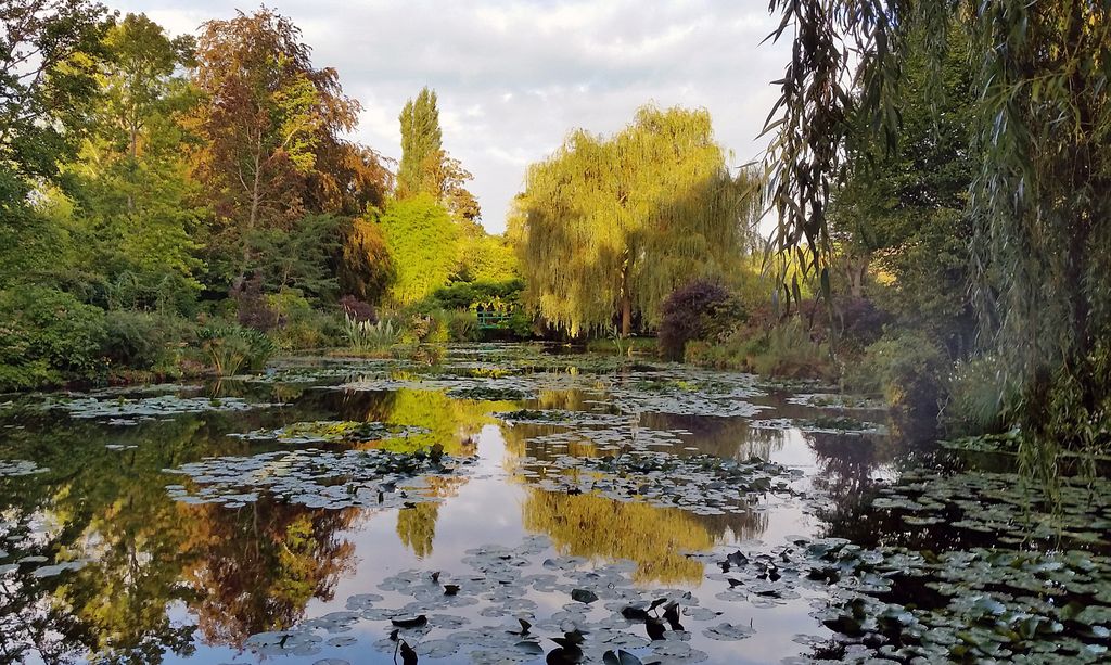Monets Seerosenteich in Giverny