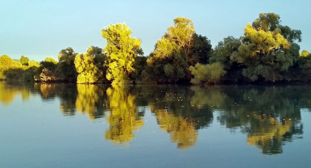 Spiegelungen auf der Seine (Handybild)