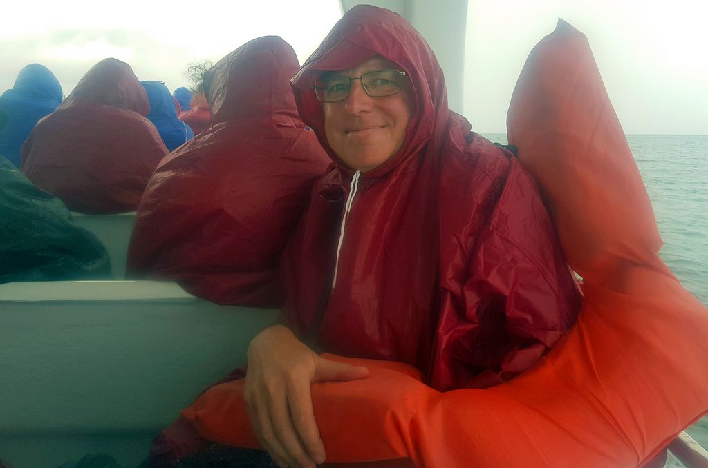 Zinni im Regen im Los Haitices Nationalpark (Handy-Bild)