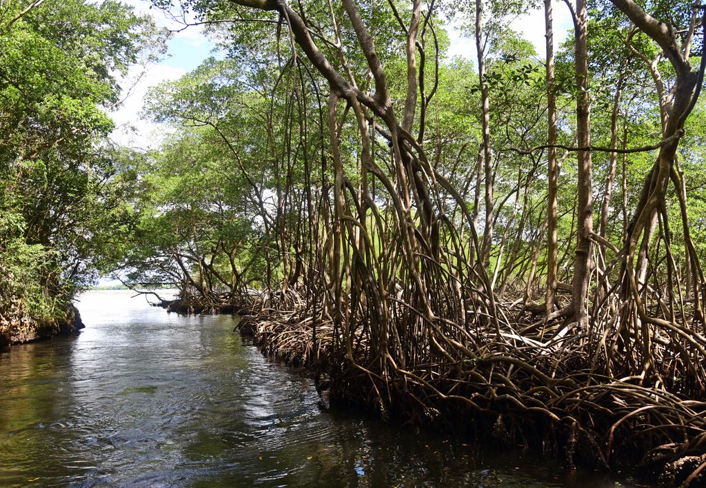 Unterwegs im Los Haitices Nationalpark