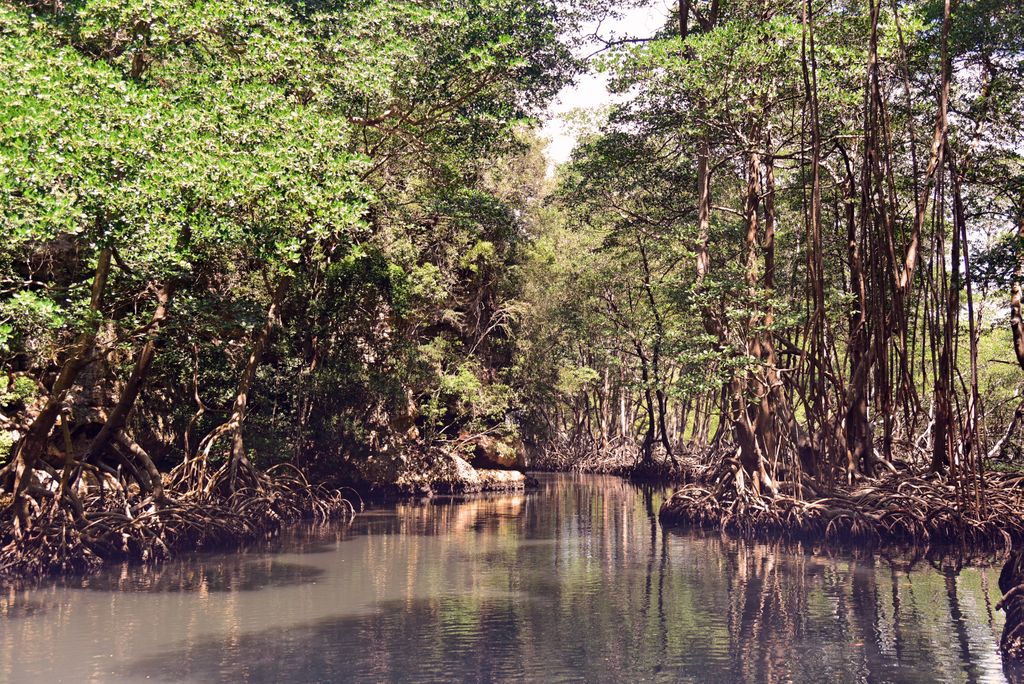 Unterwegs im Los Haitices Nationalpark