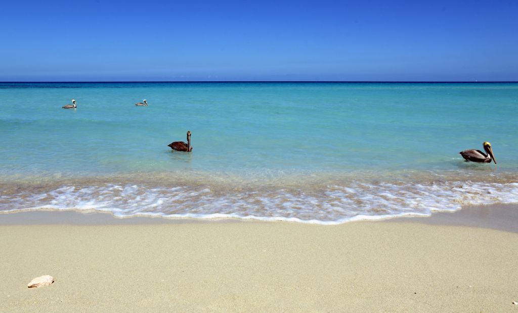 Der Strand bei der La Casa De Al in Varadero
