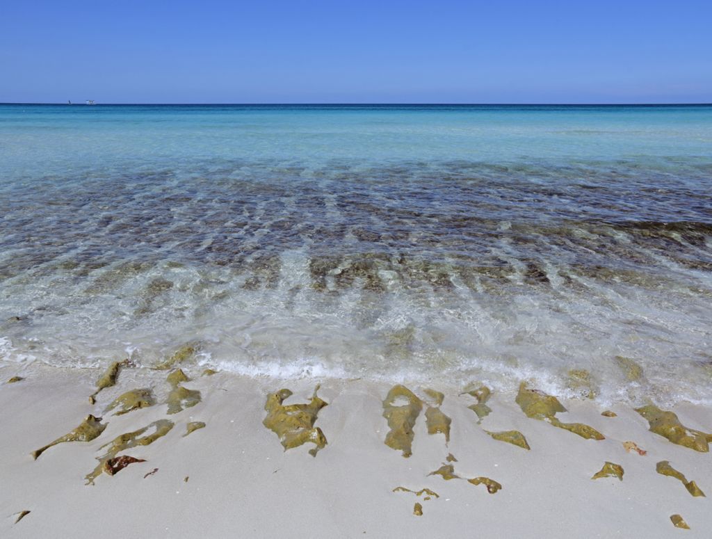 Der Strand vom Hotel Internacional Varadero