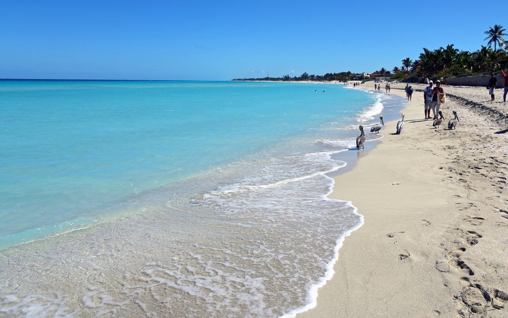 Der Strand bei der La Casa De Al in Varadero